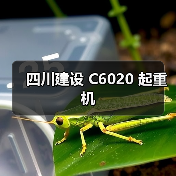 四川建设 C6020 起重机