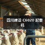 四川建设 C6020 起重机