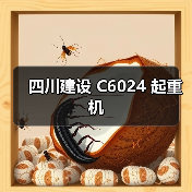 四川建设 C6024 起重机