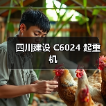 四川建设 C6024 起重机
