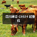 四川建设 C6024 起重机