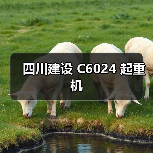 四川建设 C6024 起重机