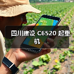 四川建设 C6520 起重机