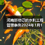 河南新修订的水利工程管理条例2024年1月1日起施行