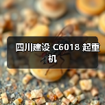 四川建设 C6018 起重机