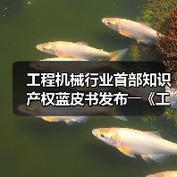 工程机械行业首部知识产权蓝皮书发布――《工程机械知识产权蓝皮书(2023)》