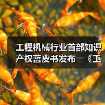 工程机械行业首部知识产权蓝皮书发布――《工程机械知识产权蓝皮书(2023)》