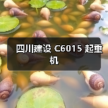 四川建设 C6015 起重机