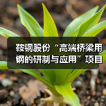 鞍钢股份“高端桥梁用钢的研制与应用”项目成果通过鉴定