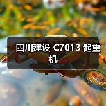 四川建设 C7013 起重机