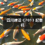 四川建设 C7013 起重机