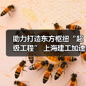 助力打造东方枢纽“超级工程” 上海建工加速推进工程建设