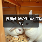 路得威 RWYL102 压路机