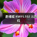 路得威 RWYL102 压路机