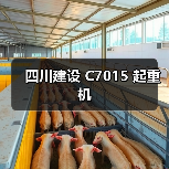 四川建设 C7015 起重机