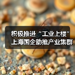 积极推进“工业上楼” 上海国企助推产业集群集聚集约发展