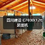 四川建设 C7030(12t) 起重机
