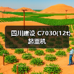 四川建设 C7030(12t) 起重机
