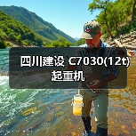 四川建设 C7030(12t) 起重机