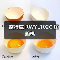 路得威 RWYL102C 压路机