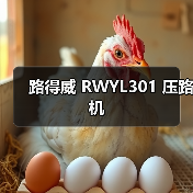 路得威 RWYL301 压路机