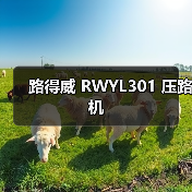 路得威 RWYL301 压路机