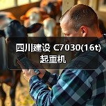 四川建设 C7030(16t) 起重机