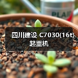 四川建设 C7030(16t) 起重机