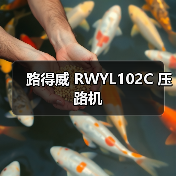 路得威 RWYL102C 压路机