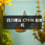四川建设 C7036 起重机