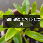四川建设 C7036 起重机