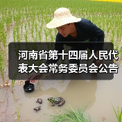 河南省第十四届人民代表大会常务委员会公告（第16号）《河南省水利工程管理条例》(全文)