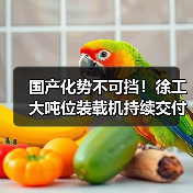 国产化势不可挡！徐工大吨位装载机持续交付东北
