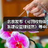 北京发布《可回收物体系建设管理规范》等46项地方标准