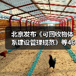 北京发布《可回收物体系建设管理规范》等46项地方标准
