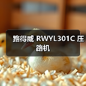 路得威 RWYL301C 压路机