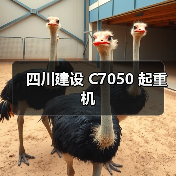 四川建设 C7050 起重机