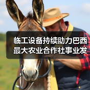 临工设备持续助力巴西最大农业合作社事业发展