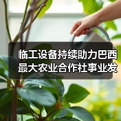 临工设备持续助力巴西最大农业合作社事业发展