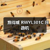 路得威 RWYL301C 压路机