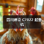 四川建设 C7022 起重机