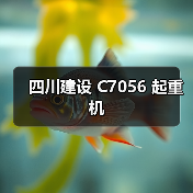 四川建设 C7056 起重机