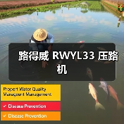 路得威 RWYL33 压路机