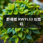 路得威 RWYL33 压路机