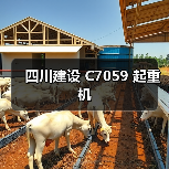 四川建设 C7059 起重机