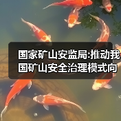 国家矿山安监局:推动我国矿山安全治理模式向事前预防转型