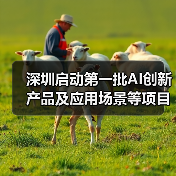 深圳启动第一批AI创新产品及应用场景等项目需求征集！
