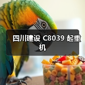 四川建设 C8039 起重机