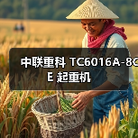 中联重科 TC6016A-8CE 起重机