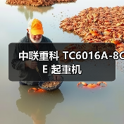 中联重科 TC6016A-8CE 起重机